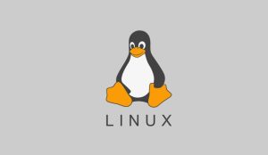 linux查看端口是否开放