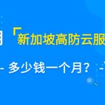 租用新加坡高防云服务器多少钱一个月？